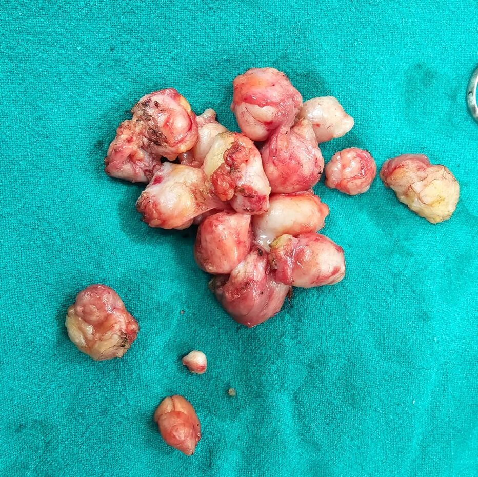 WhatsApp Image 2024-05-13 at 5.44.19 PM (1)